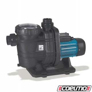 POMPE DE PISCINE TIFON1 100 / MONOPHASE / 0.75Kw / 24m3/h